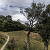 New Zealand, Abel Tasman national park
