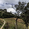 Neuseeland, Abel-Tasman-Nationalpark