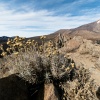 El Teide volcano