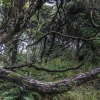 Neuseeland, Abel-Tasman-Nationalpark