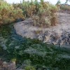 Danakil depression