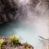 Rotorua, Whakarewarewa, geyser