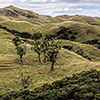 Neuseeland, Abel-Tasman-Nationalpark