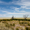 Etosha-Pfanne