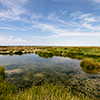 Etosha-Pfanne