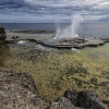 Tonga