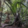 Neuseeland, Abel-Tasman-Nationalpark