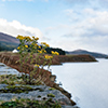 Spean River reservoir