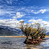 xflo:w photo calendar 2014, New Zealand Mountains Volcanoes