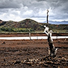 New Caledonia, Lac Yate, Lake Yate