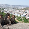 Indien, Jaipur