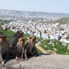 India, Jaipur