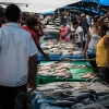 Fiji, Suva market