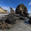 Neuseeland, Abel-Tasman-Nationalpark