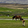 Island, Landschaft Westfjorde