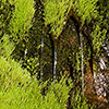 Island, Landschaft Westfjorde