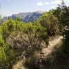 Simien Mountains