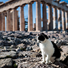 Athens Acropolis