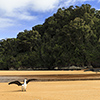 Neuseeland, Abel-Tasman-Nationalpark