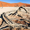 Deadvlei, Namibia