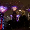 Super Trees, Gardens by the Bay