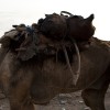 Danakil depression