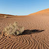 Namib Sossusvlei