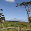 Taupo Vulkanzone, Taranaki