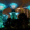 Super Trees, Gardens by the Bay