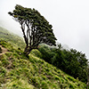 Mardi Himal Trek