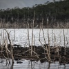 New Caledonia, Lac Yate, Lake Yate