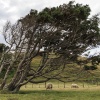 Neuseeland, Abel-Tasman-Nationalpark