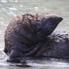 Neuseeland, Abel-Tasman-Nationalpark