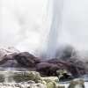 Rotorua, Whakarewarewa, geyser