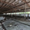 Pripyat, fish breeding