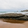 Australtölpel, Cape Kidnappers