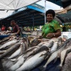 Fidschi, Suva Markt