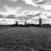 Vernichtungslager Auschwitz-Birkenau