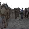 Danakil depression