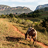 Vinales