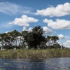 Okavango Delta, Botswana