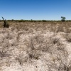 Botswana, Kalahari Transfrontier