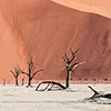 Deadvlei, Namibia