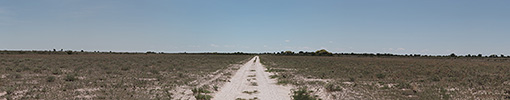 Botswana, Kalahari, CKGR Panorama