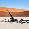 Deadvlei, Namibia