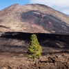 El Teide Vulkan