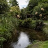 Rotorua, Buried Village