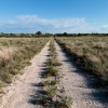 Botswana, Kalahari, CKGR