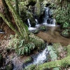 Rotorua, Buried Village