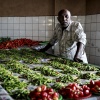 Fiji, Suva market